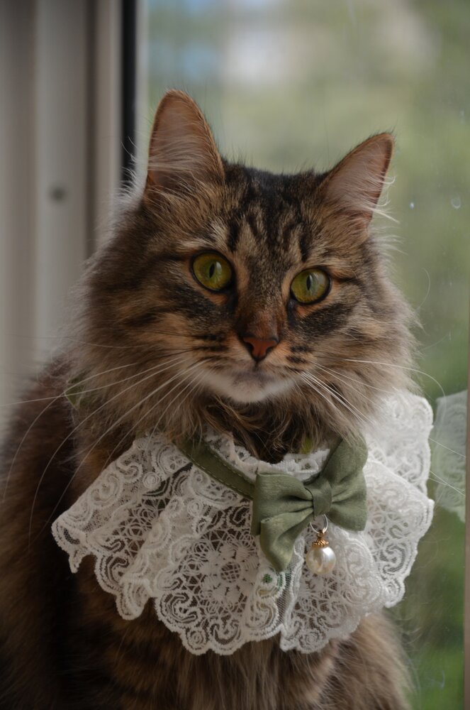 Photograph by Мария Порываева