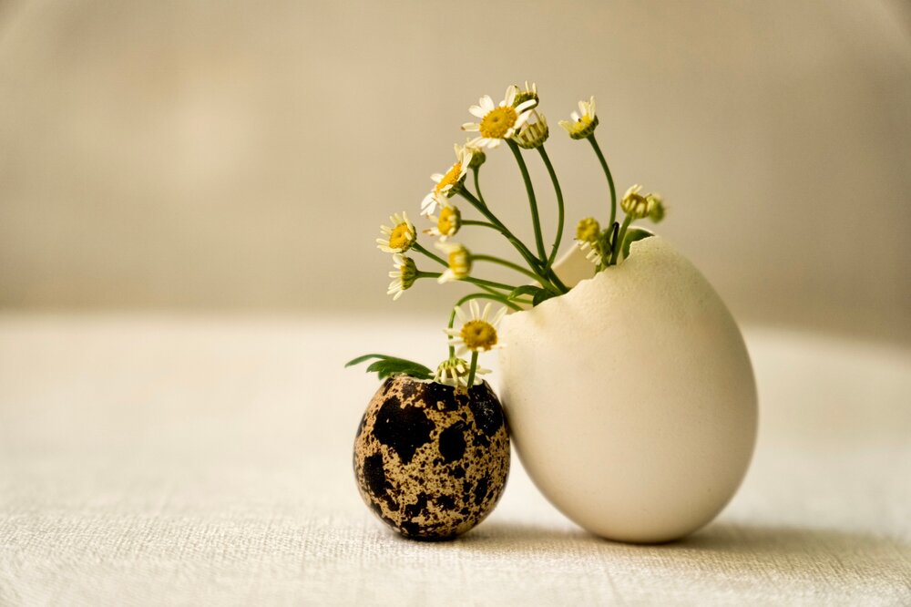 Photograph by Елизавета Нефедова