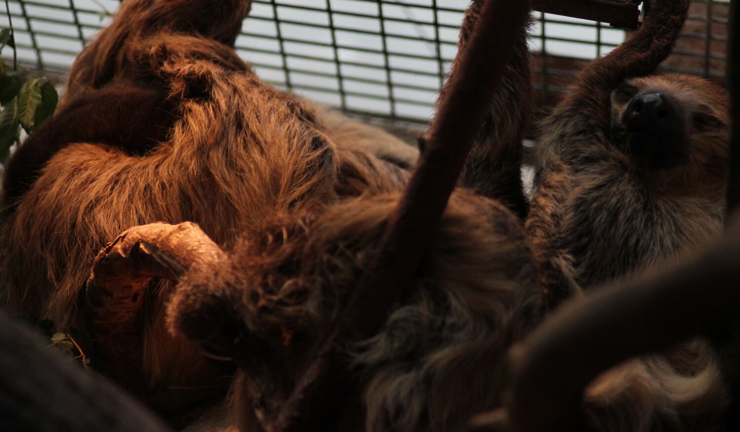 Photo #13986509