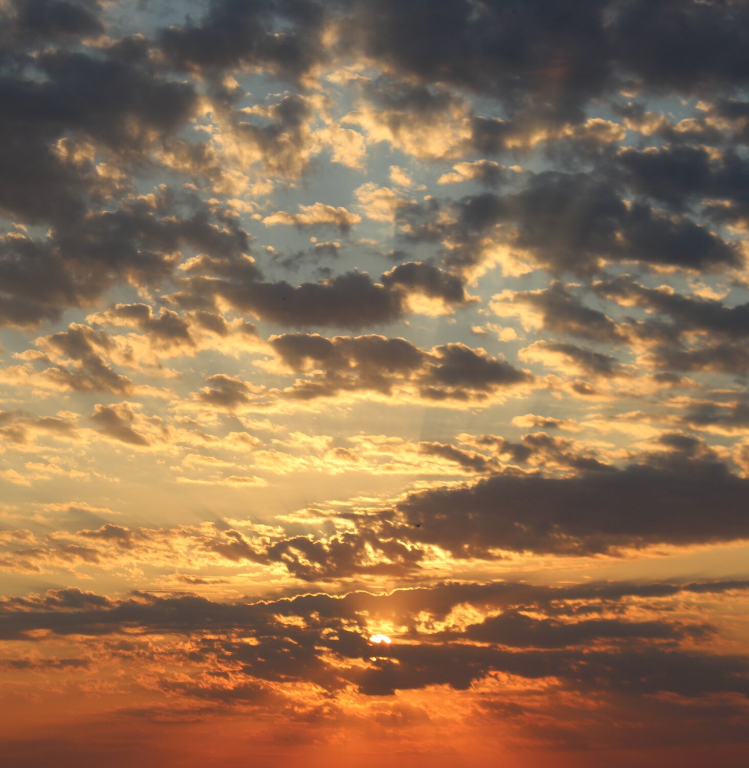 Photo #13986533