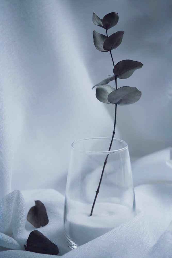 Photograph by Елизавета Нефедова