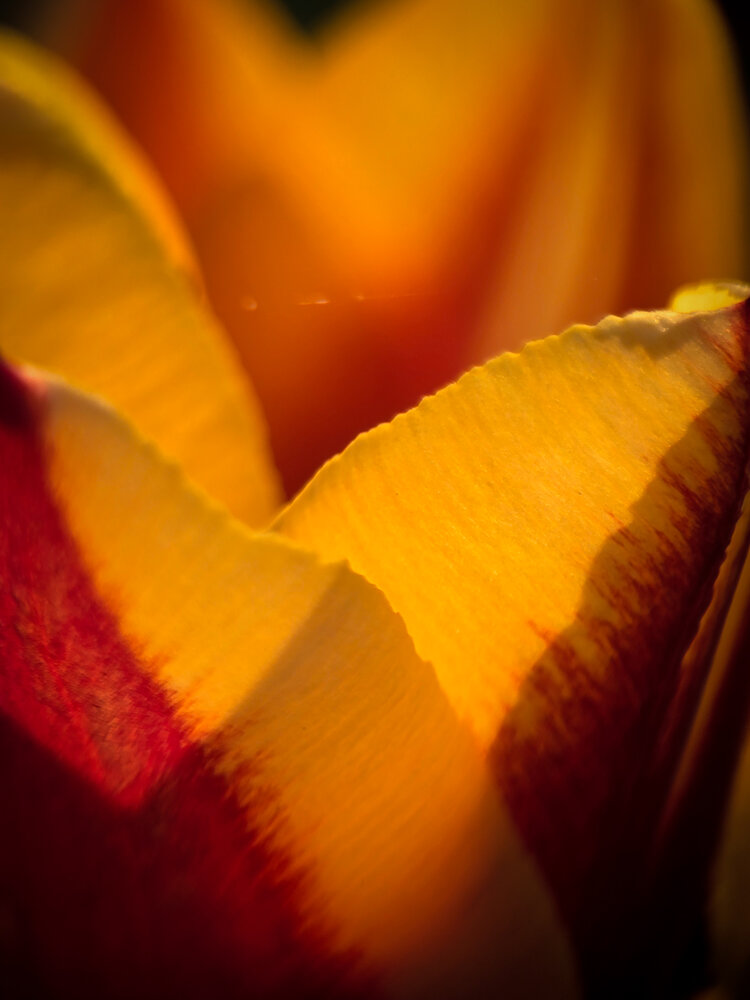 Photograph by Ирина Хлебникова