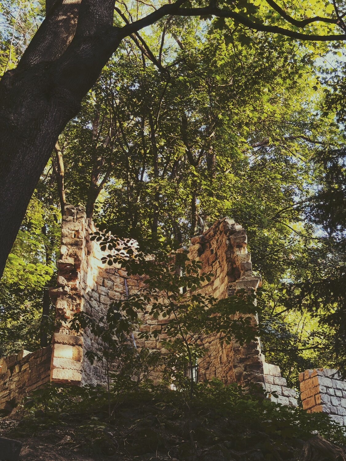 Photo #13986616