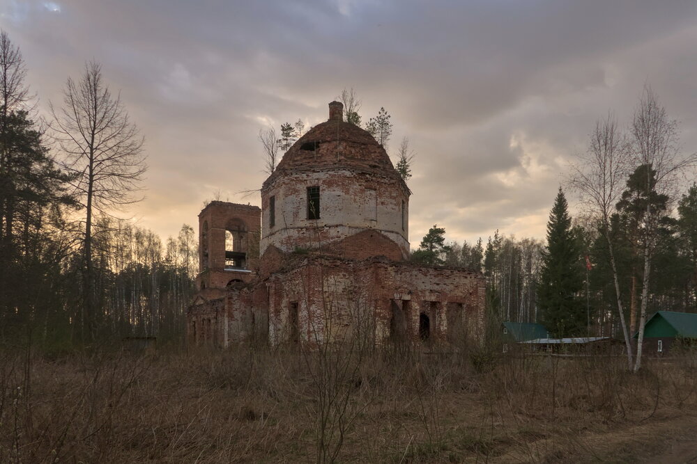 Один стоит в лесных глубинах