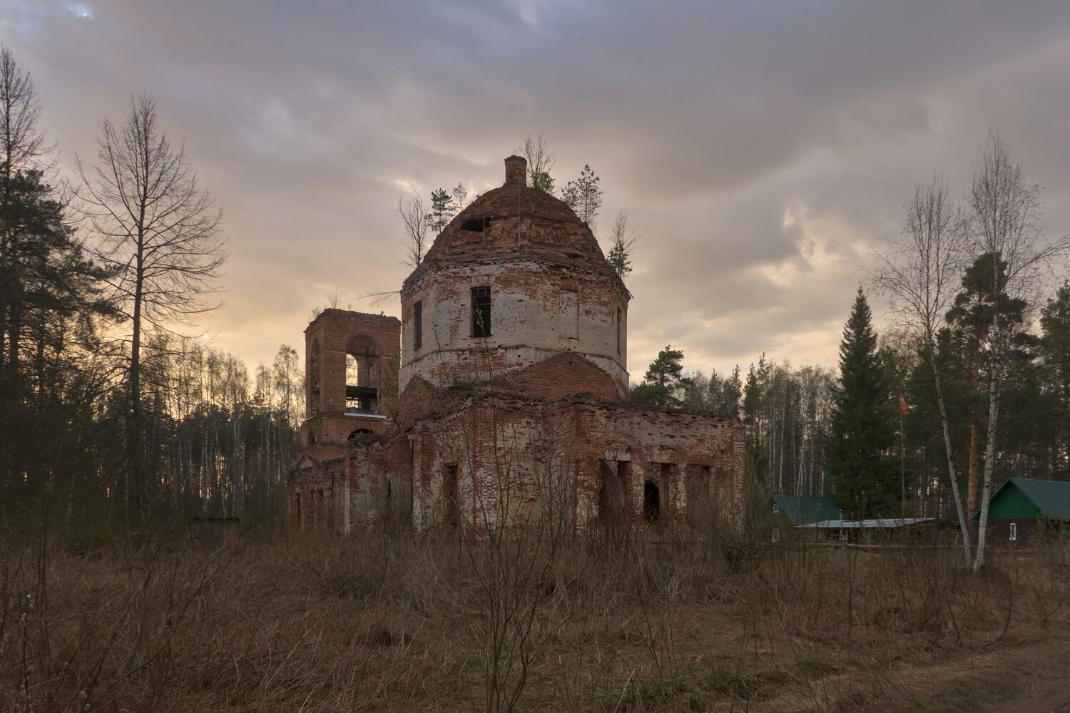 Один стоит в лесных глубинах