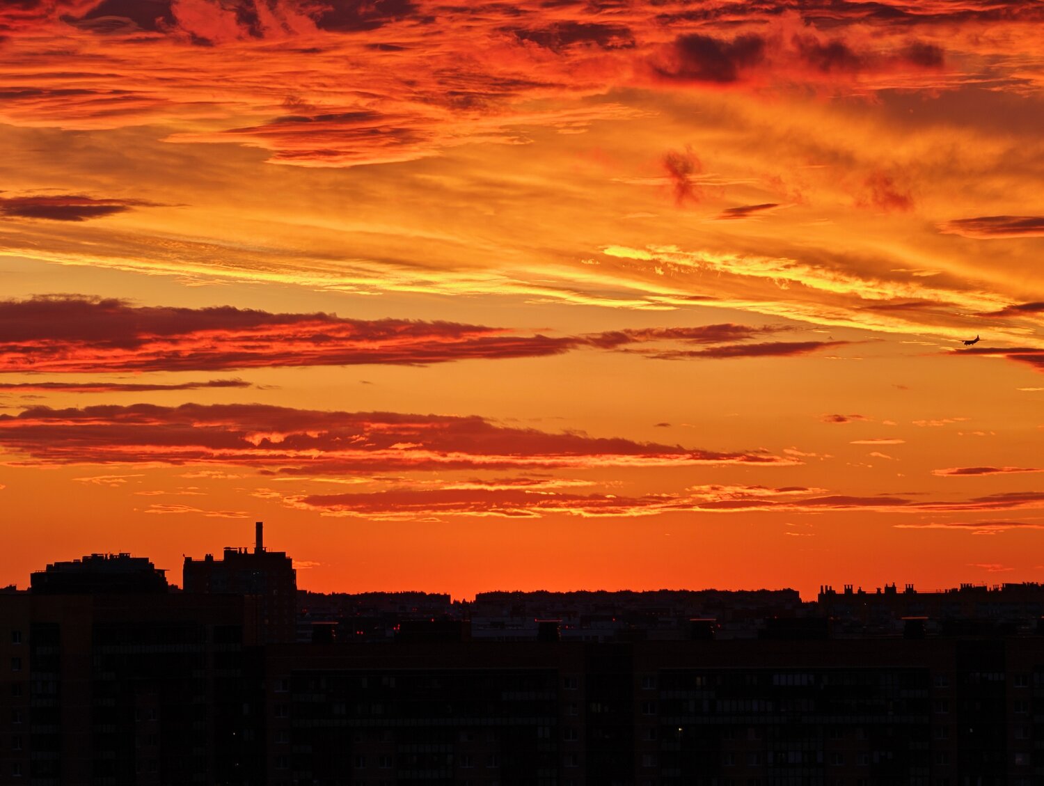 Photo #13986682