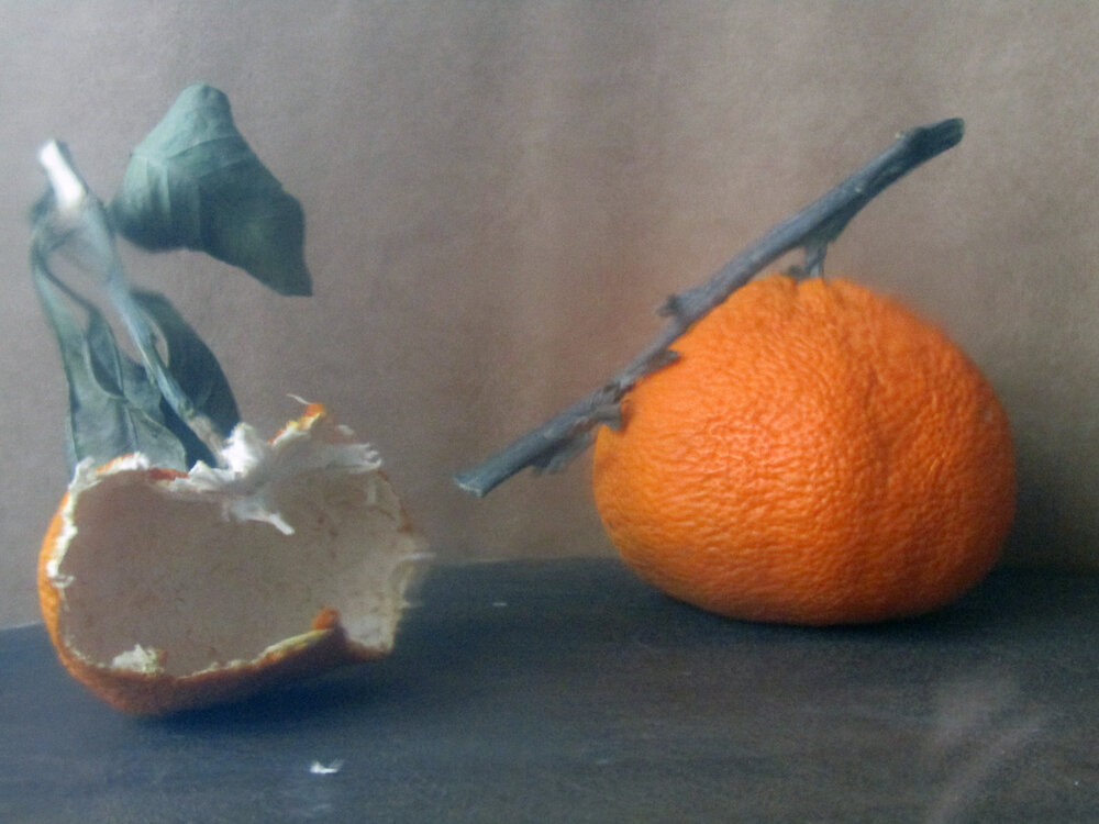 Photograph by ЕЛЕНА Тутынина