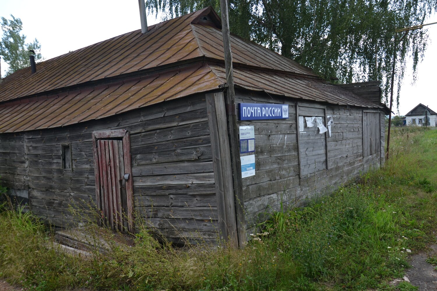 Photo #13986830