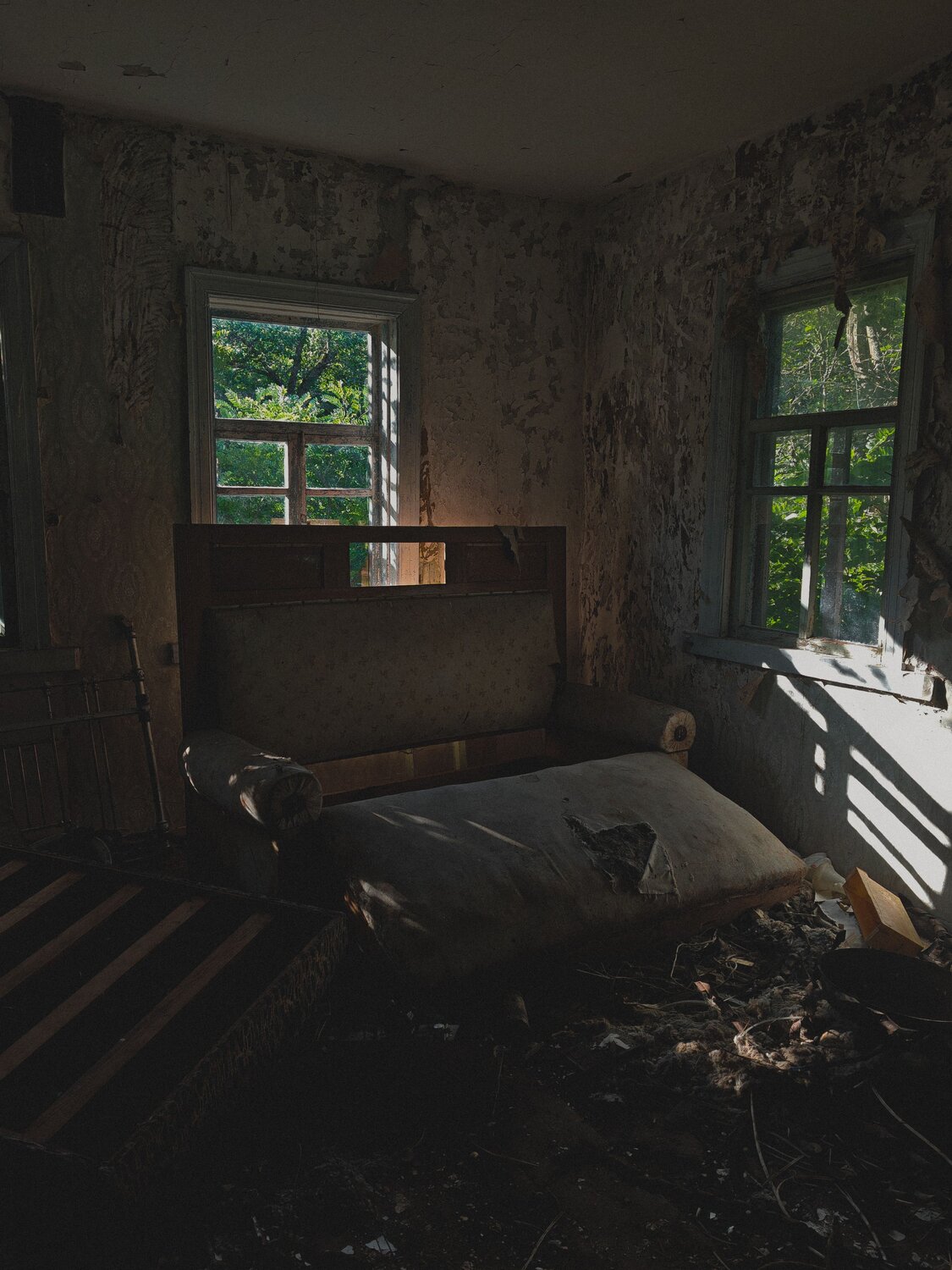 Photo #13986934
