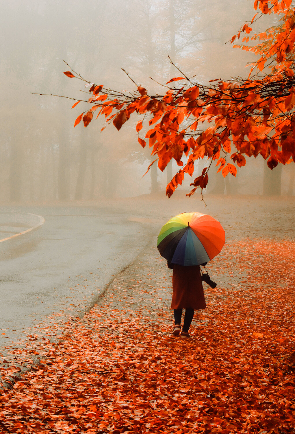 Photo #13986980