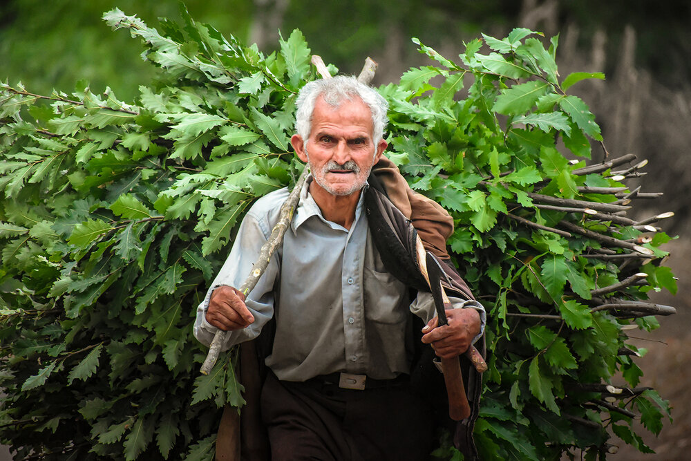 Photograph by mohsen biazar