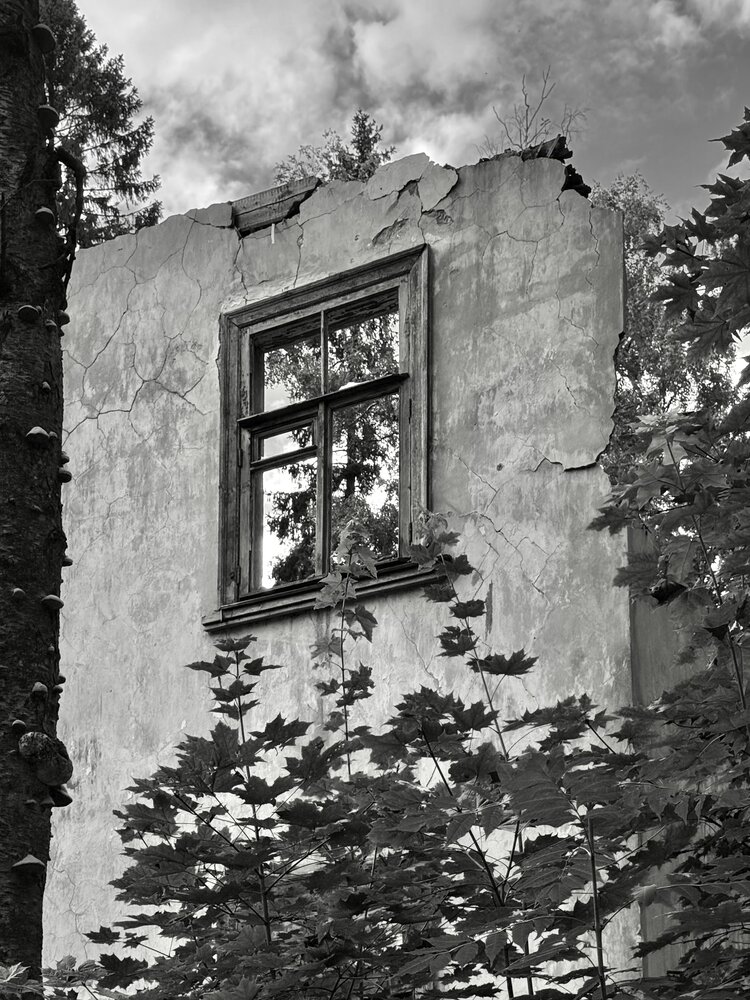 Фотография автора Ирина Сорока