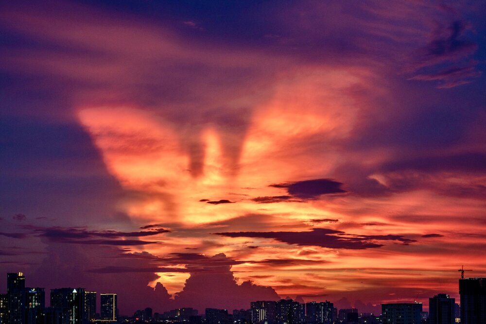 Fire Phoenix Taking Flight