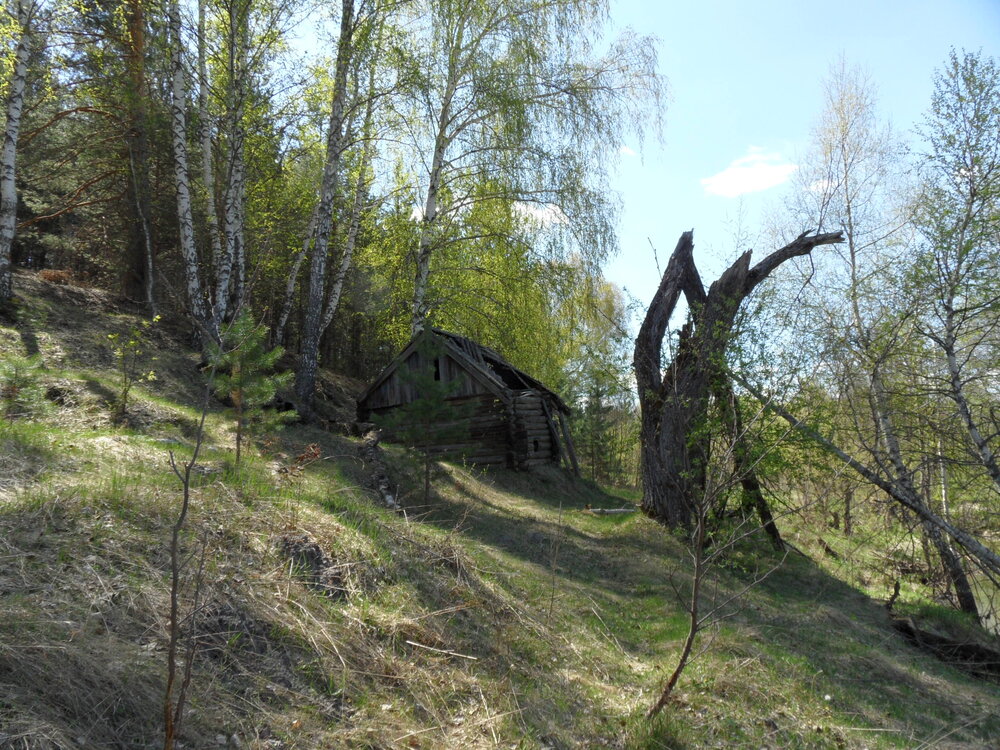 Photograph by Людмила Куренкова