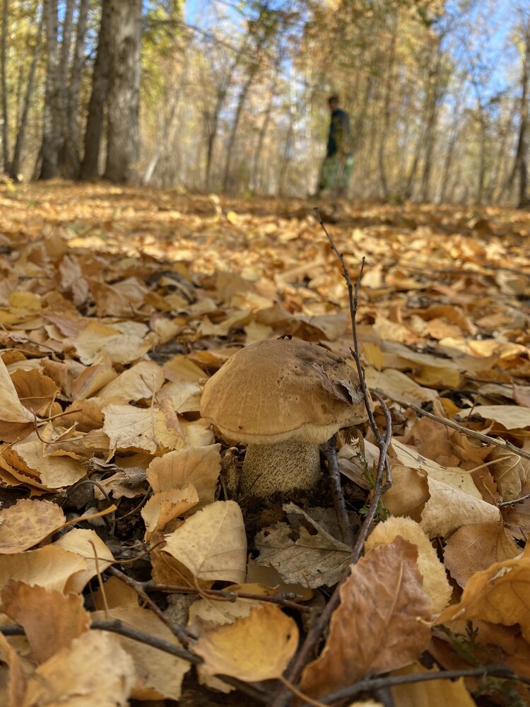 Photograph by Aлександра Чаплыгина