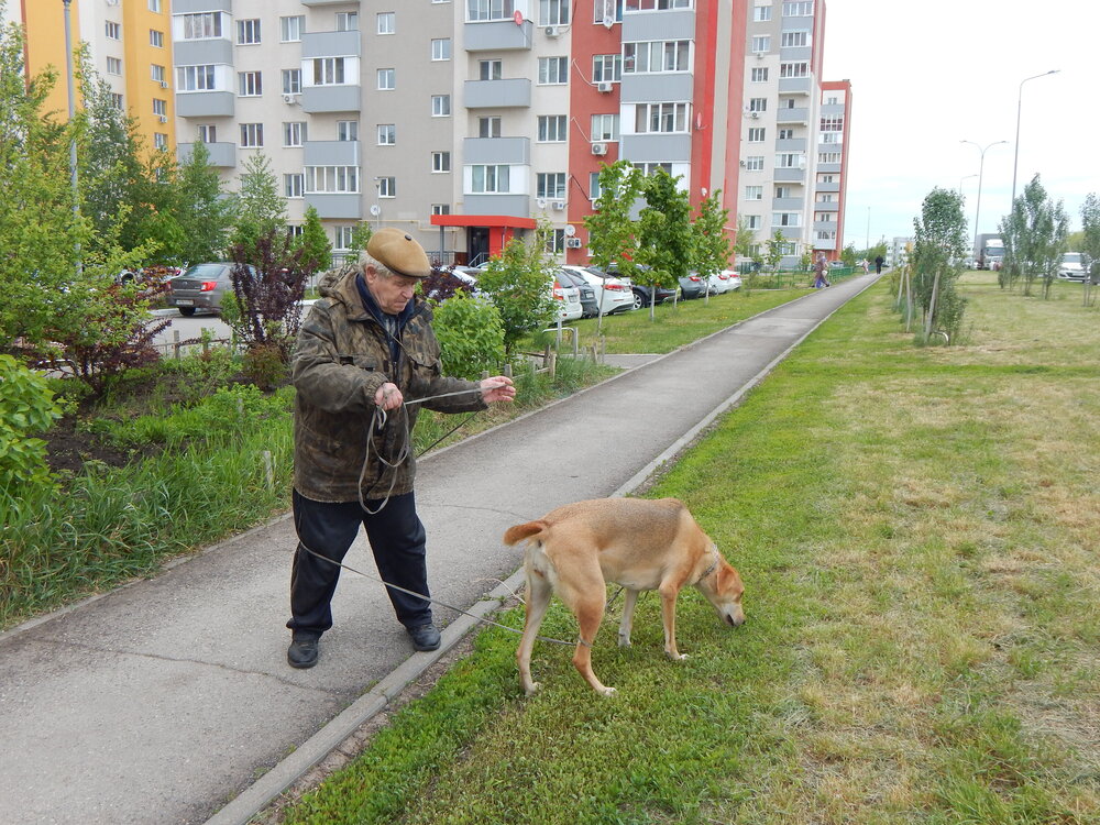 Photograph by Aлександра Чаплыгина