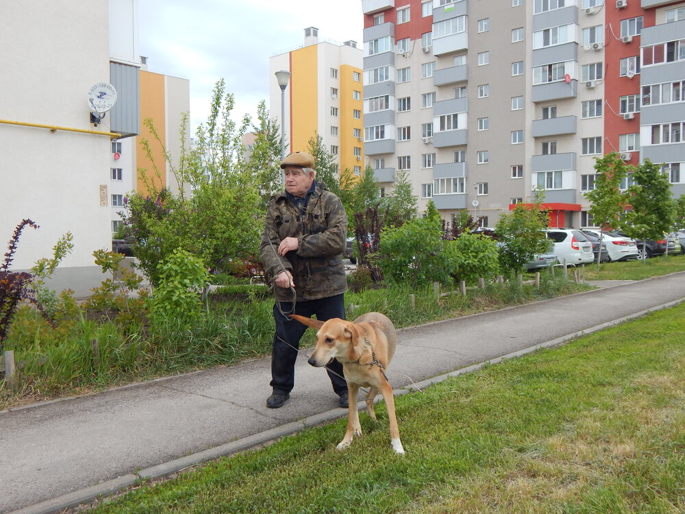 Photograph by Aлександра Чаплыгина