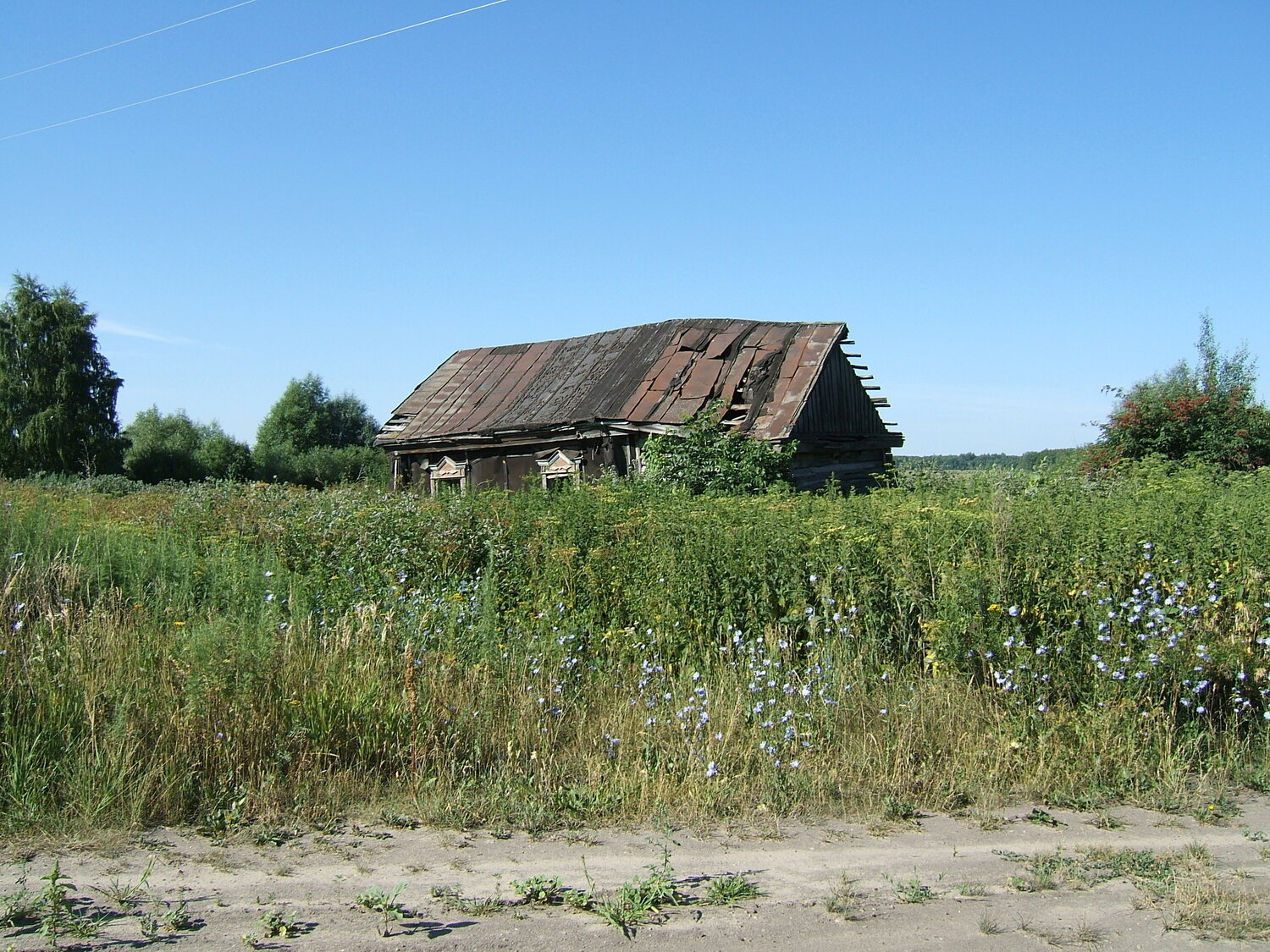 Photo #13987296