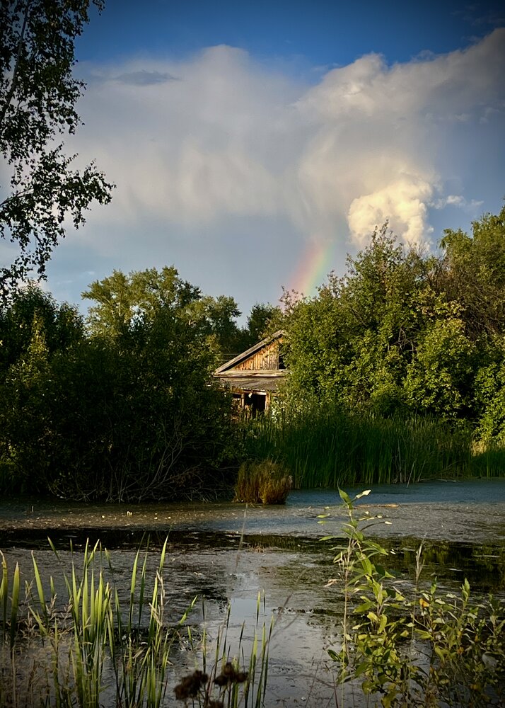 Фотография автора Ольга Белоусова