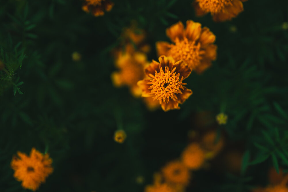 Photograph by Анастасия Китаева