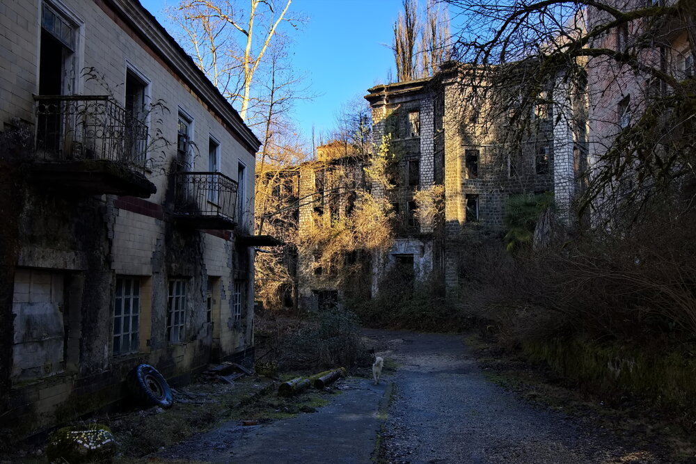 Фотография автора Олег Раков