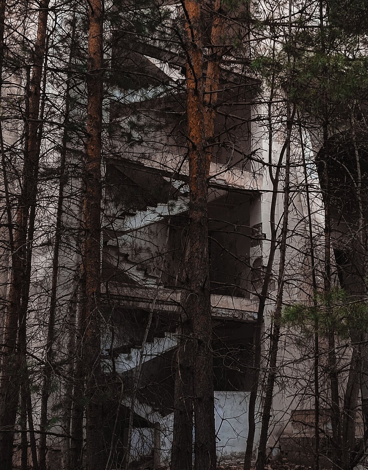 Photo #13987426