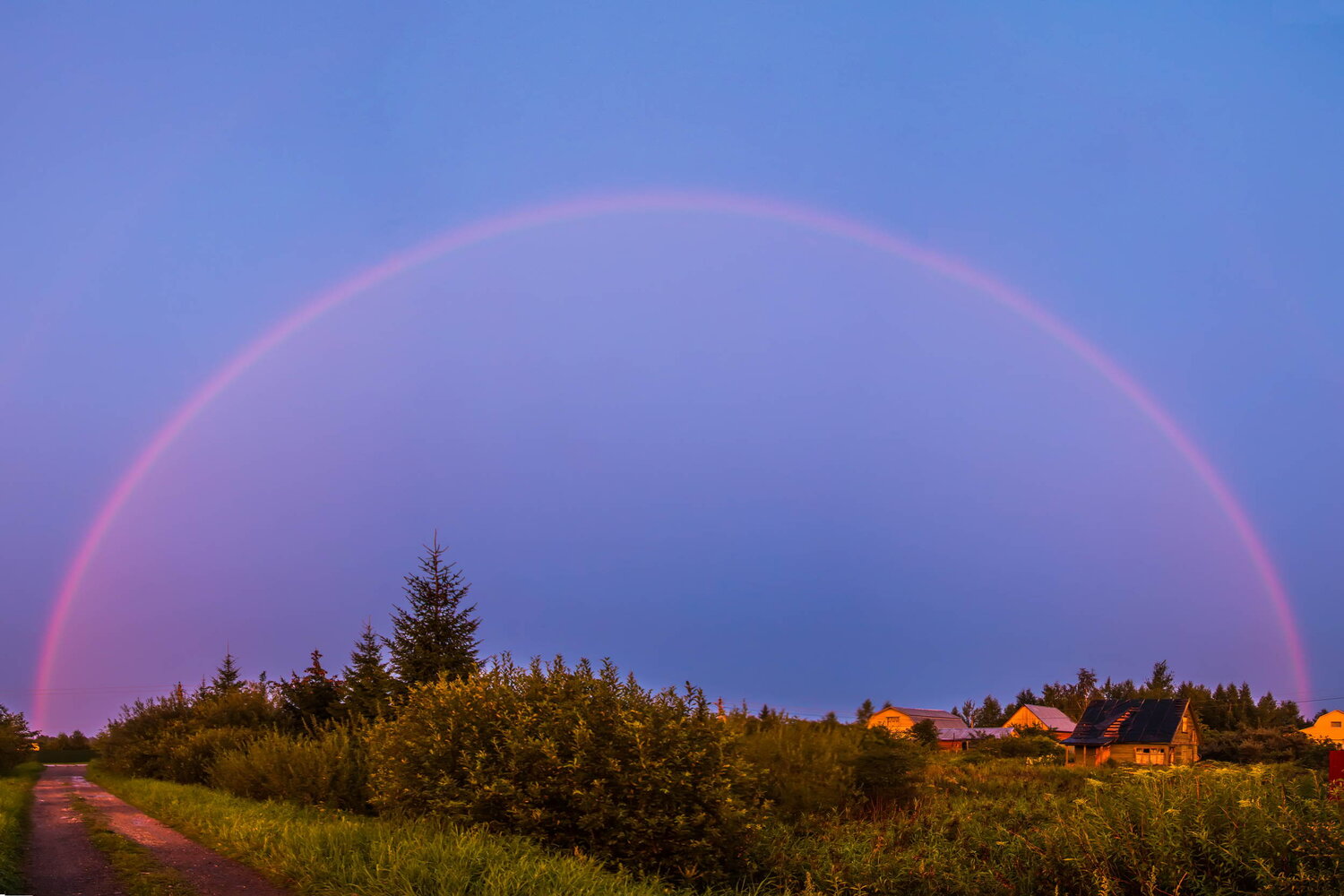 Дачная радость