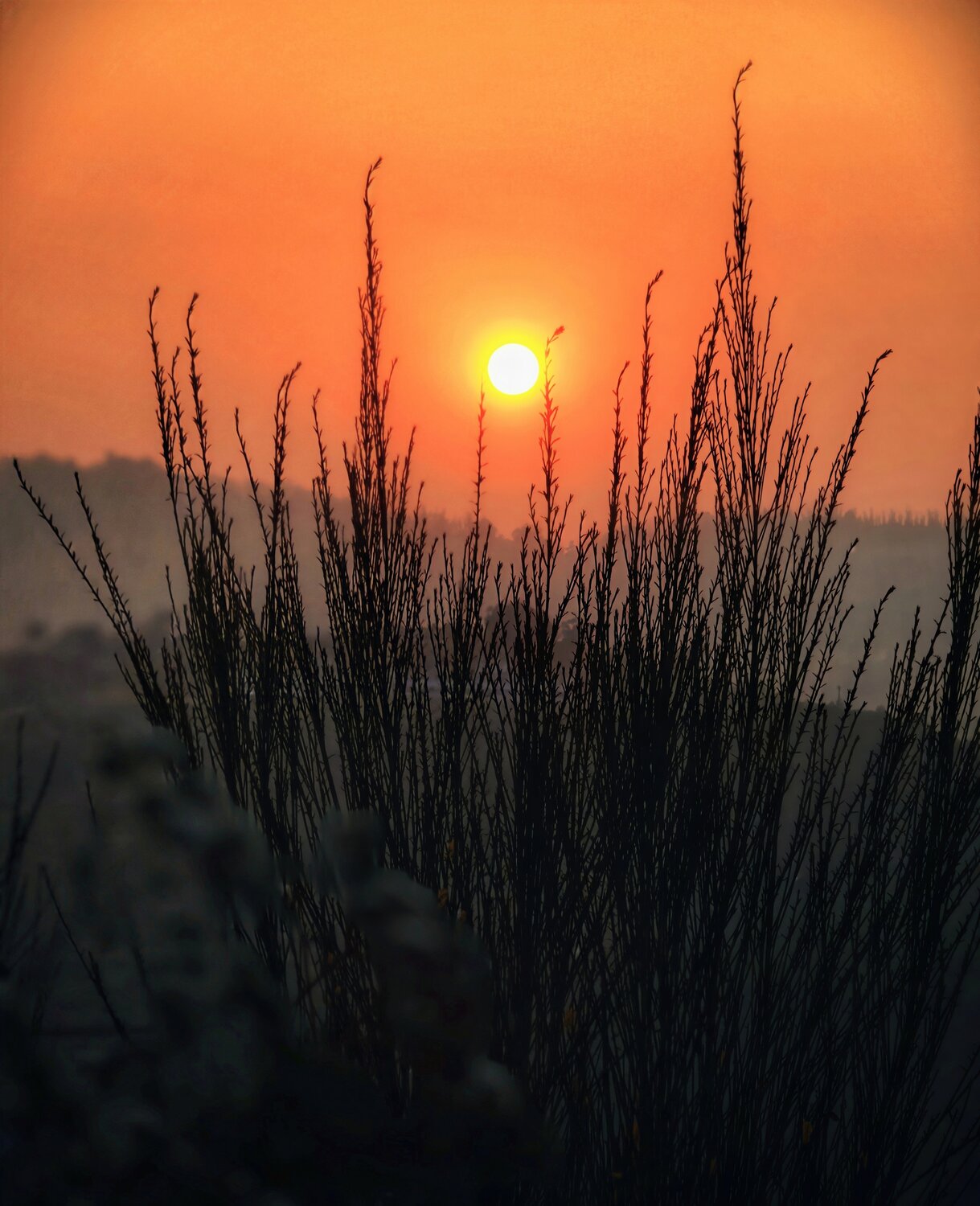 Photo #13987573