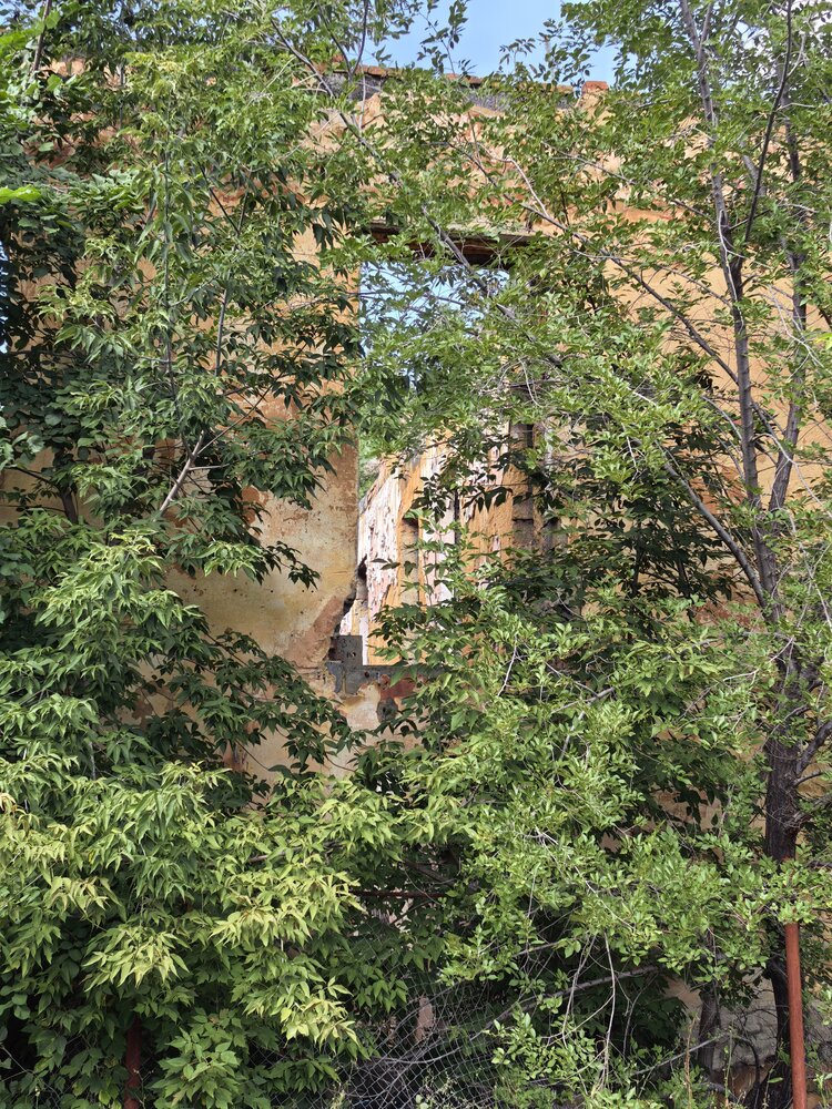 Photograph by Елена Павлова