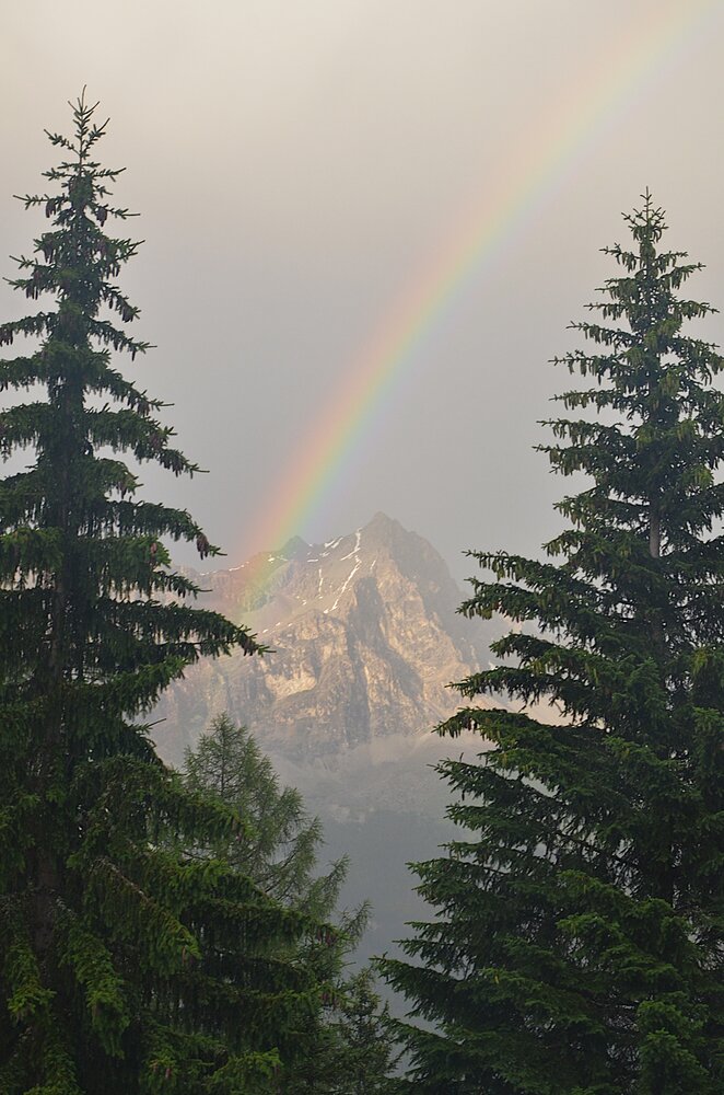 Photograph by Marzio Fattorini