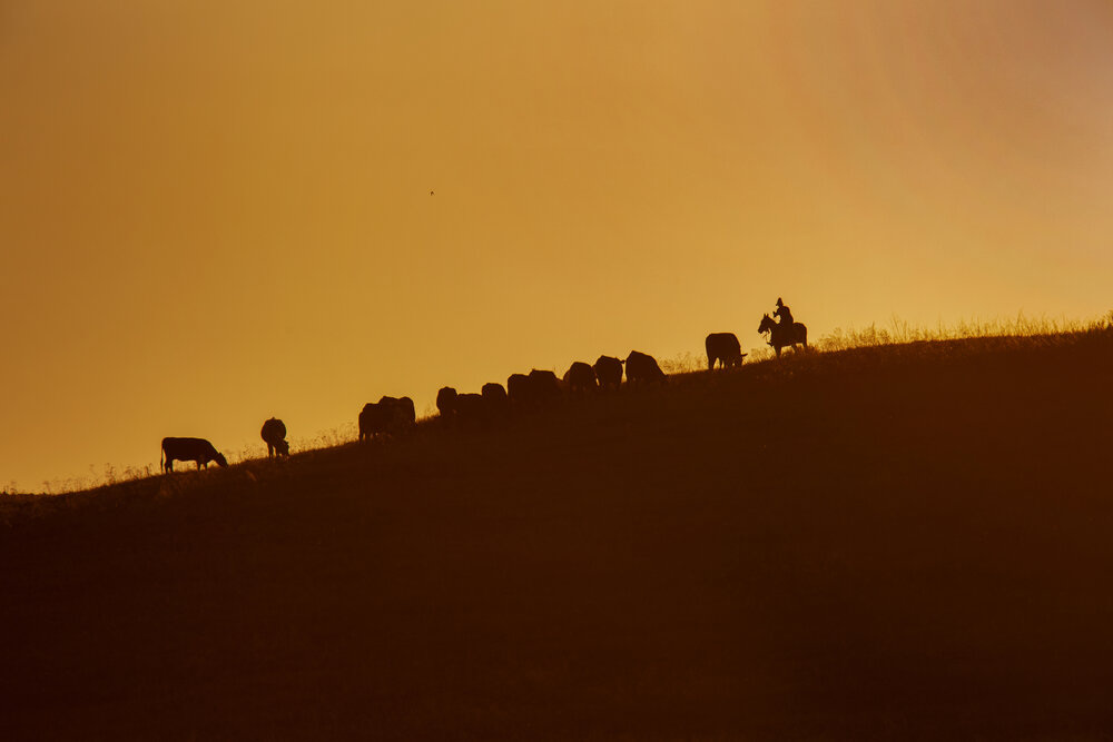 Photograph by Ольга Акутина