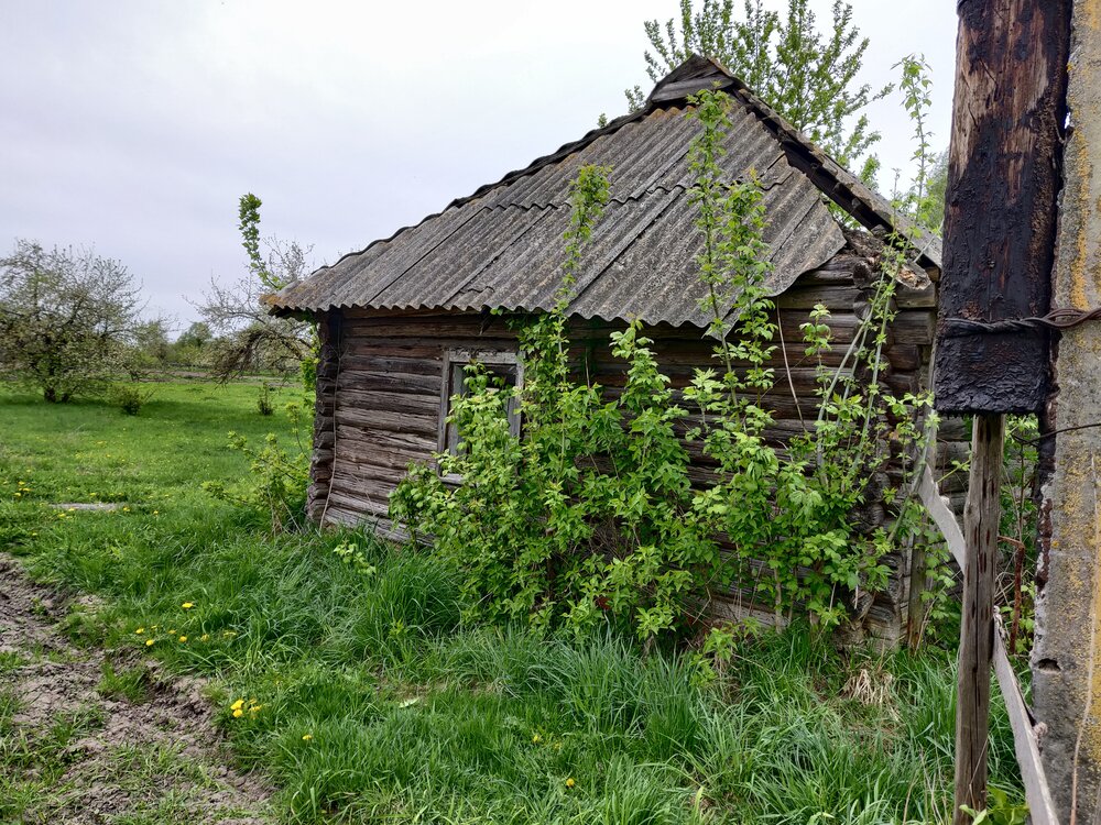 Photograph by Наталья Корнеева