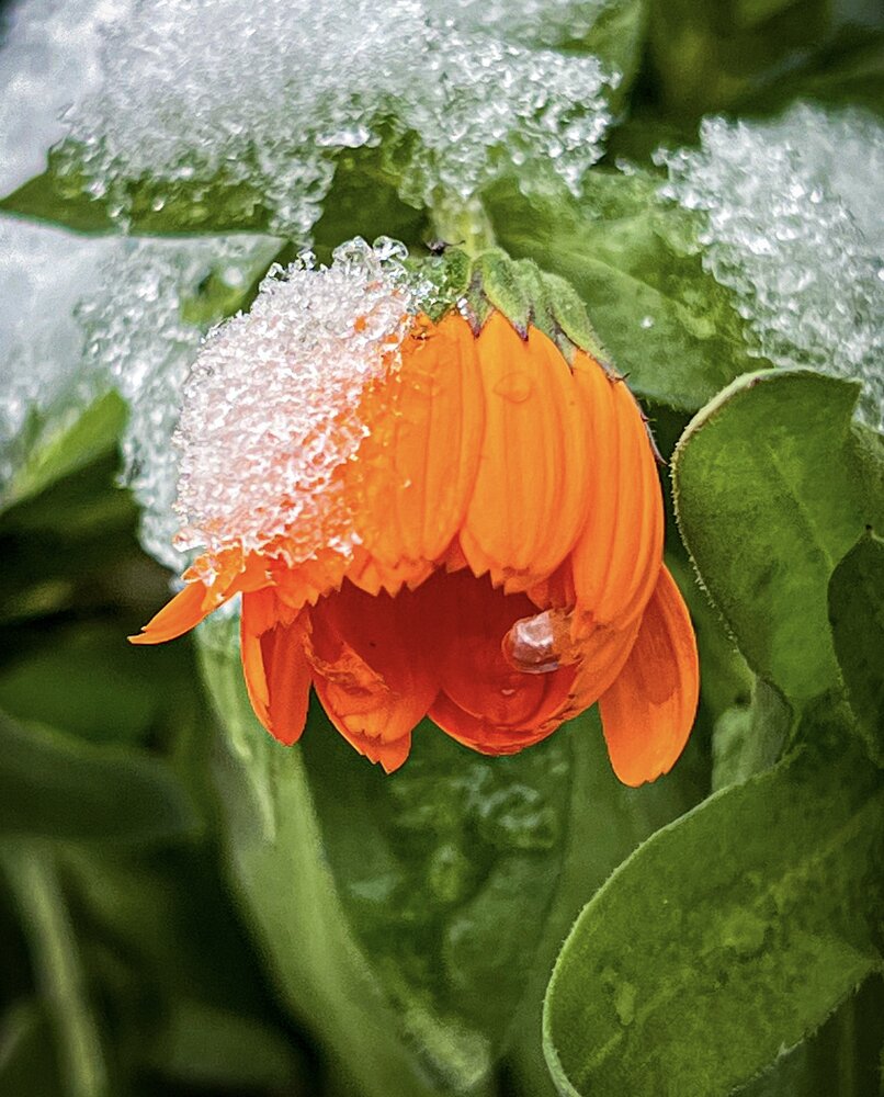 Photograph by Марина Нагичева