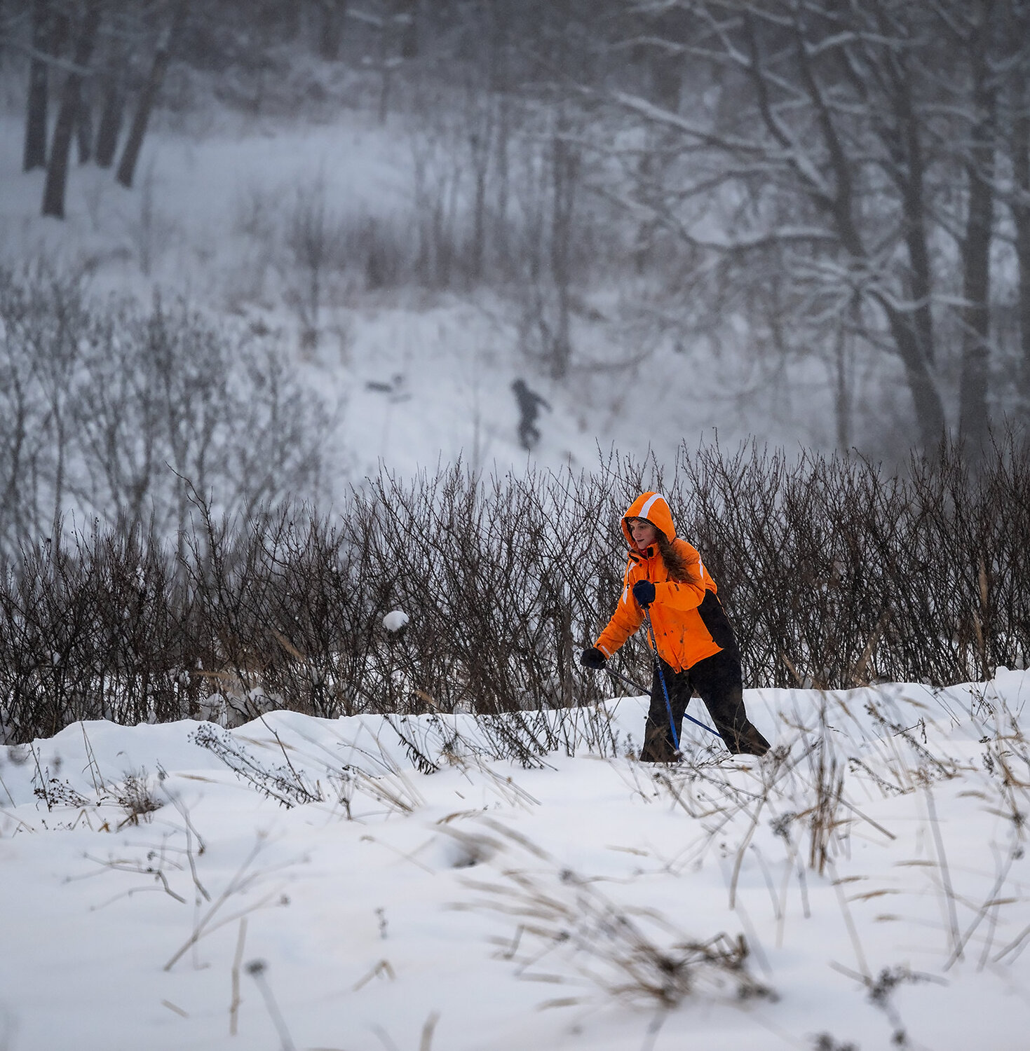 Photo #13988083