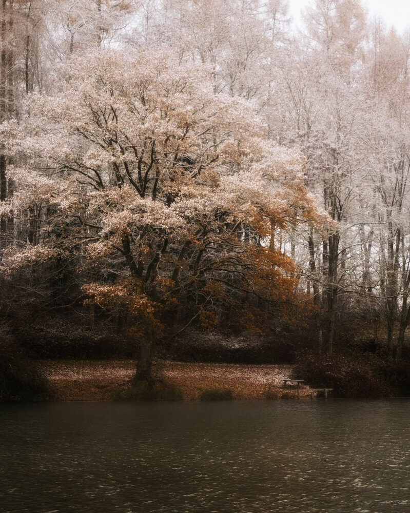 Photograph by Olga Schmidt
