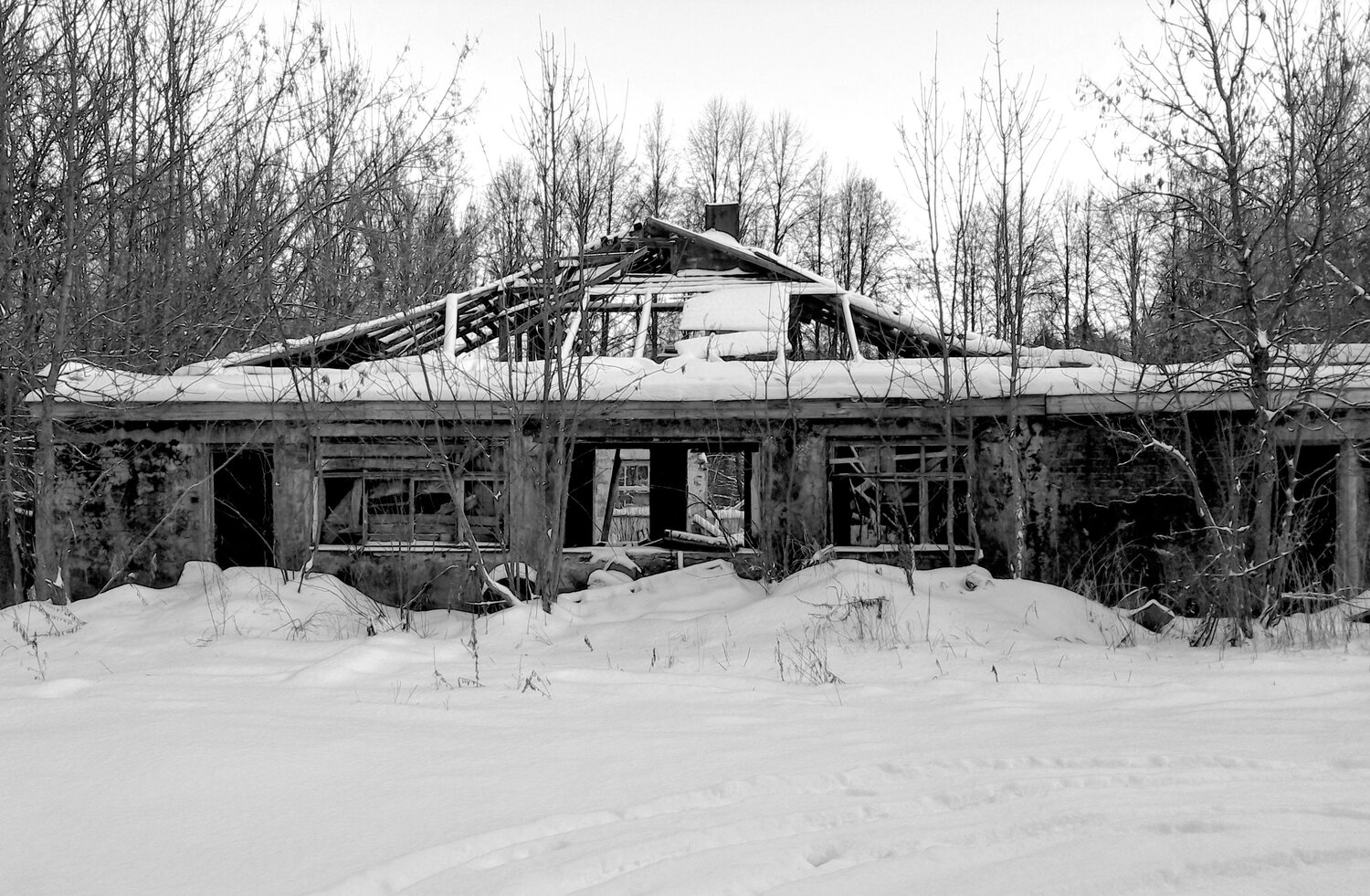 Photo #13988127