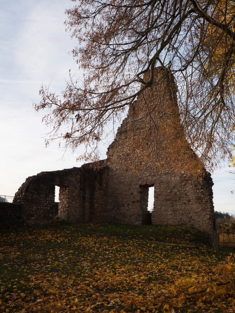 Photograph by Olga Schmidt