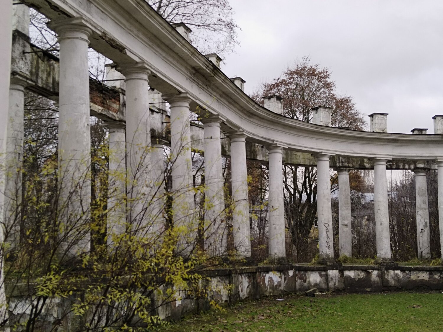 Photo #13988134