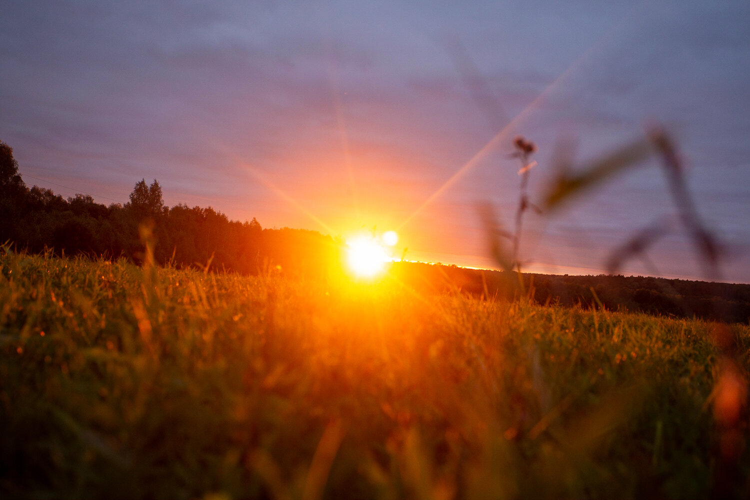 Photo #13988144