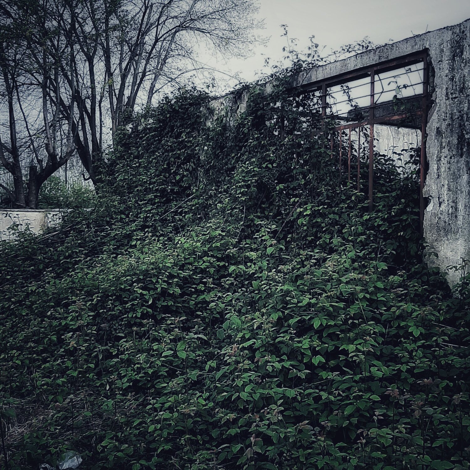 Photo #13988230