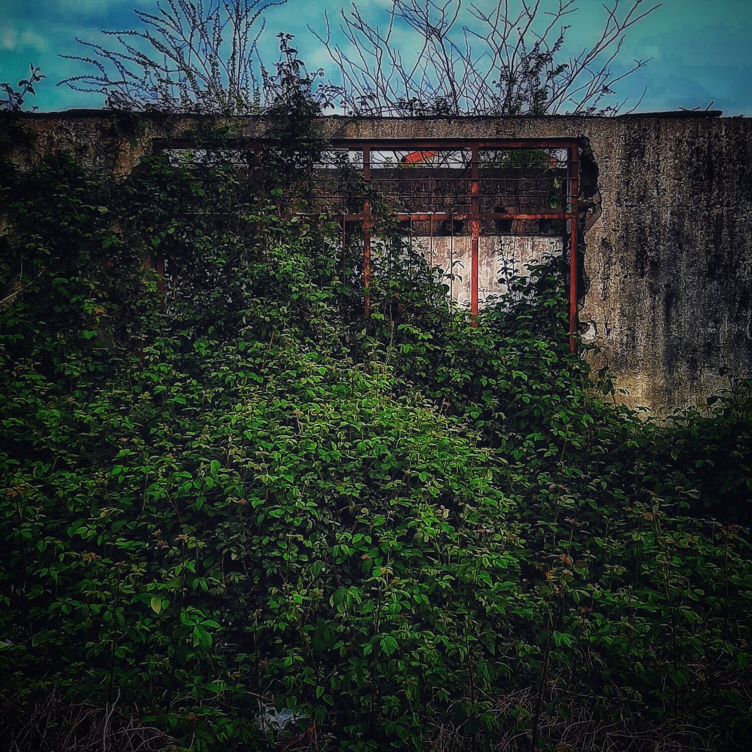 Photo #13988282