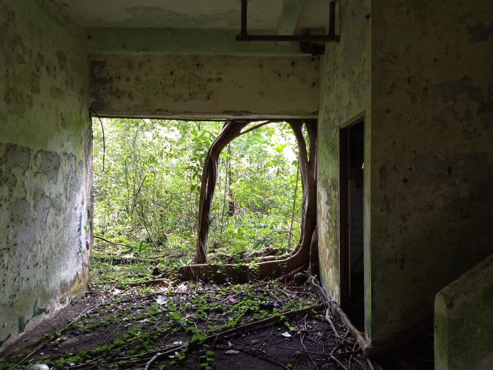 Photograph by Terence Ignatius