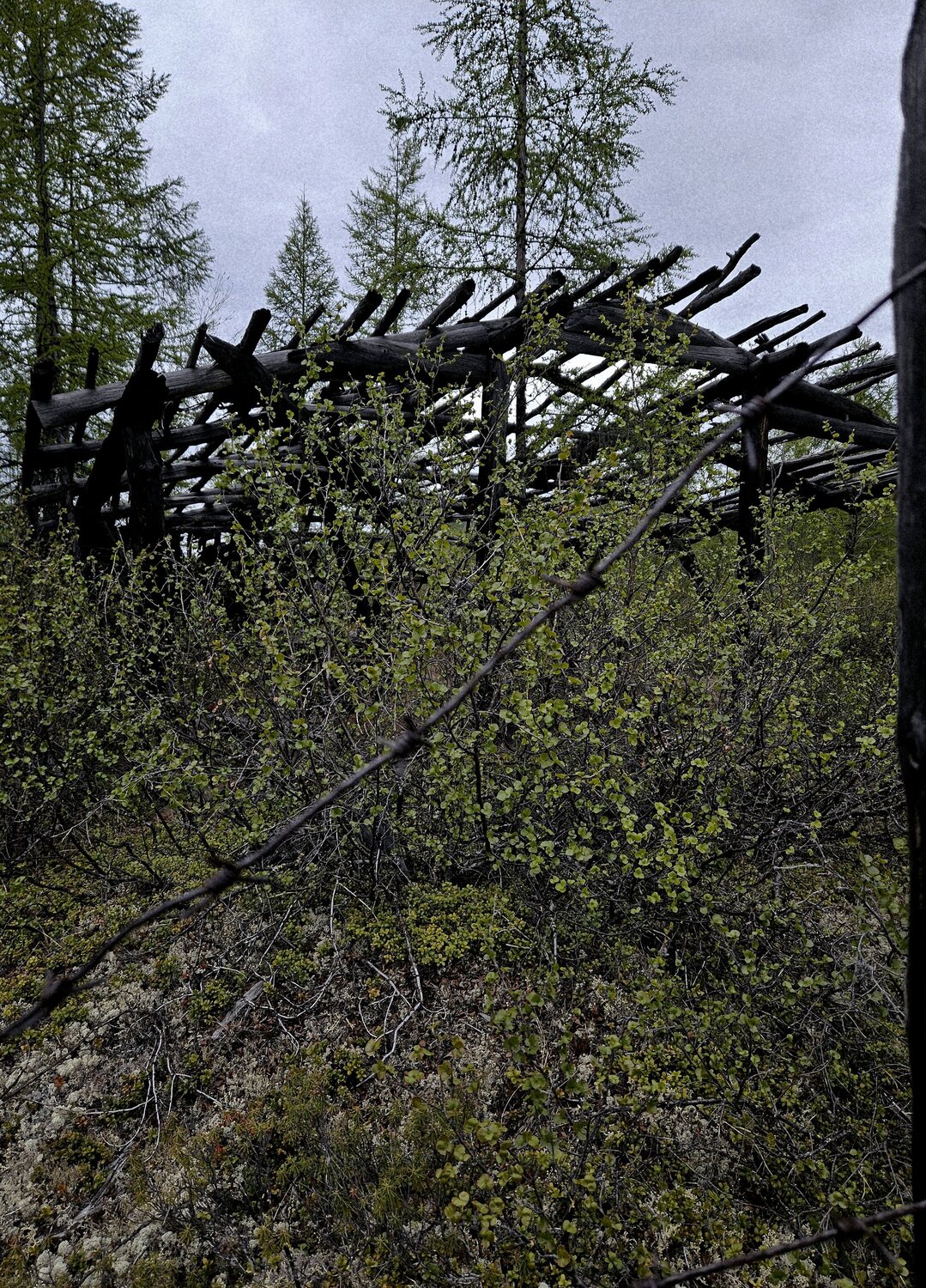 Photo #13988381