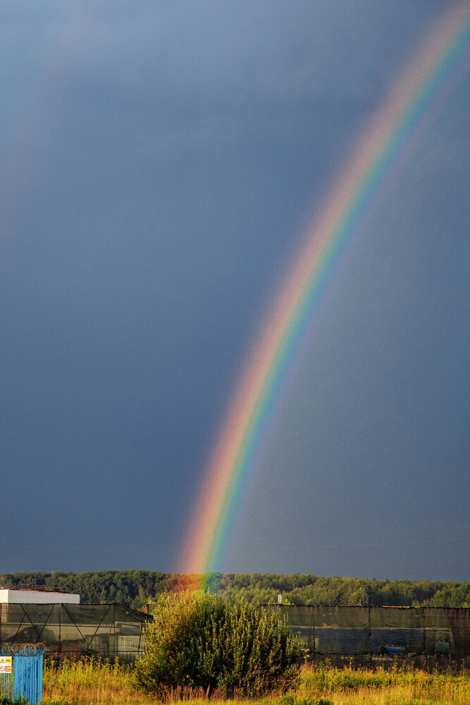 Photograph by Александр Бурлаков