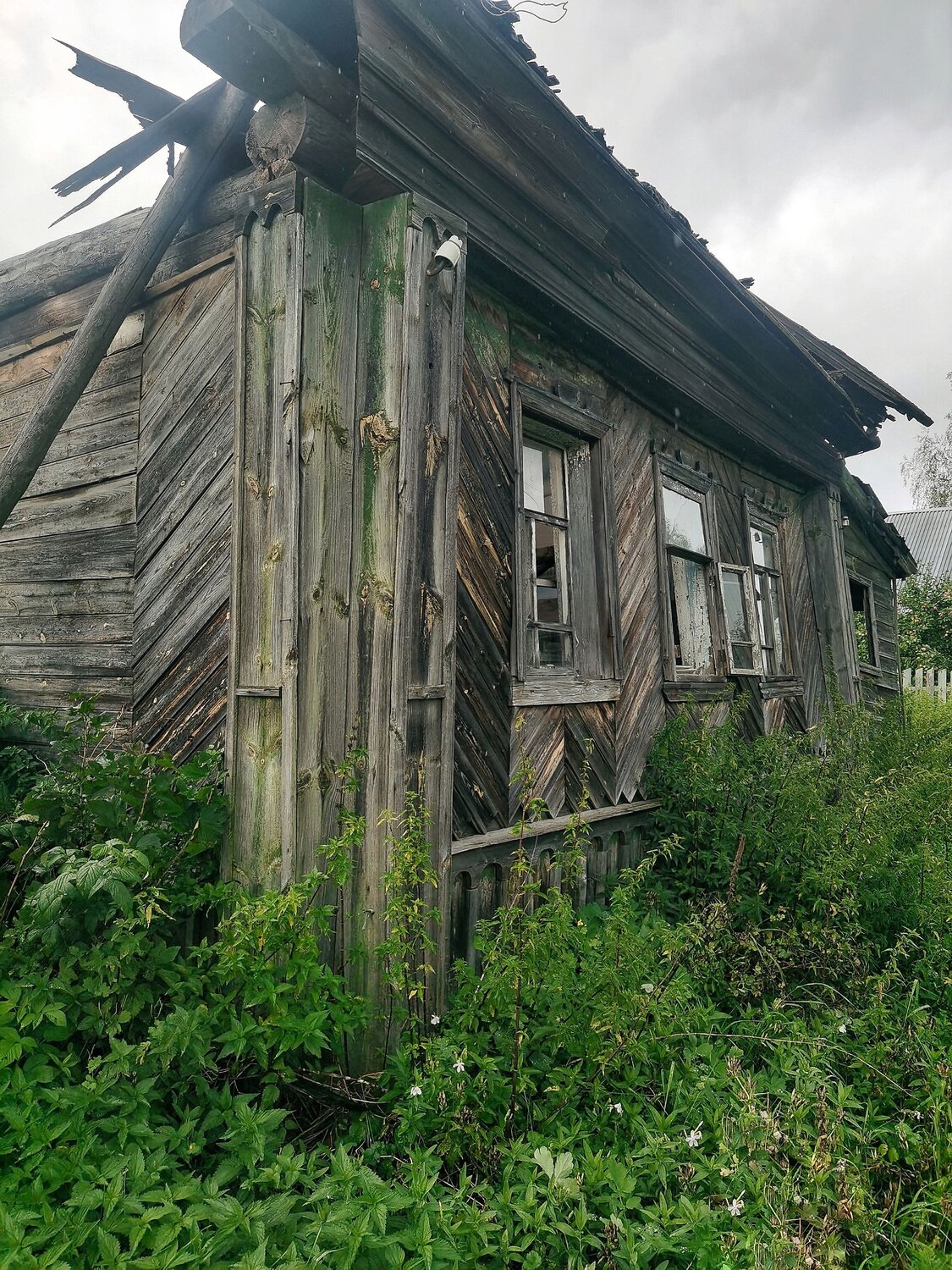Photo #13988841
