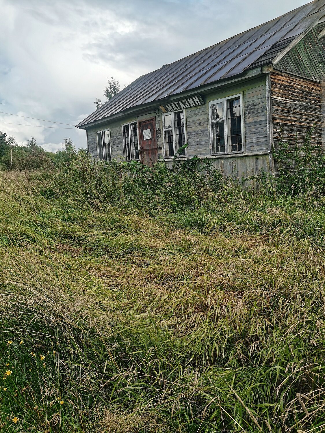 Photo #13988848