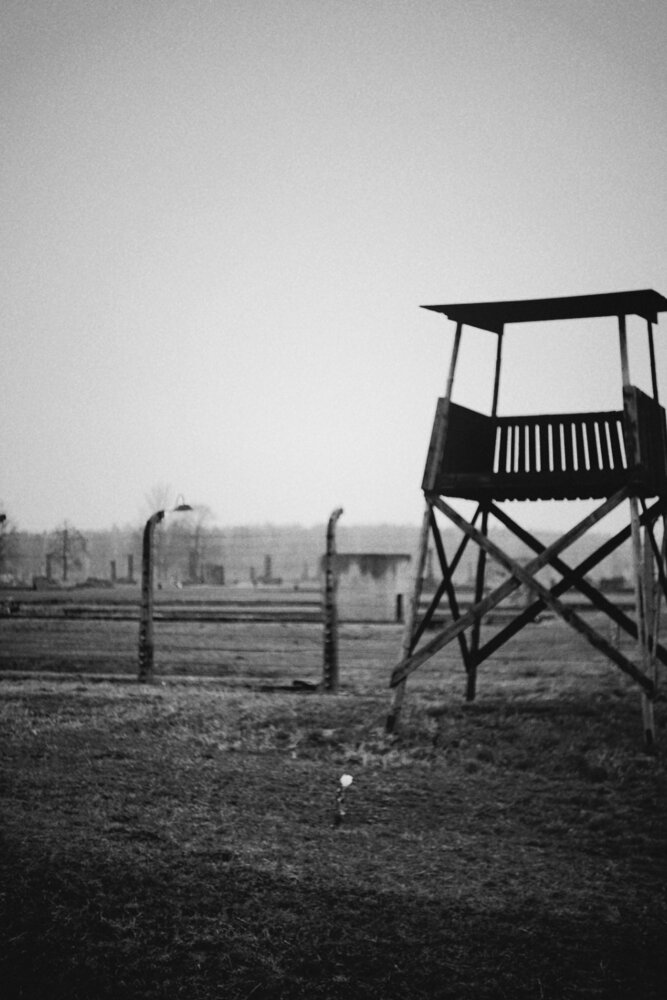 Witness to the Silence