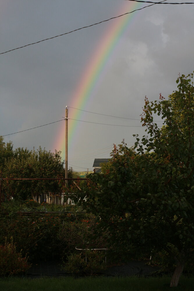 Photograph by Катрина Покумейко
