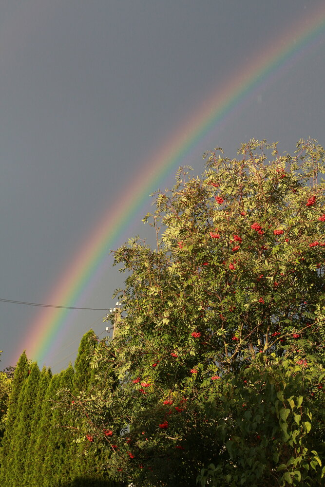 Photograph by Катрина Покумейко