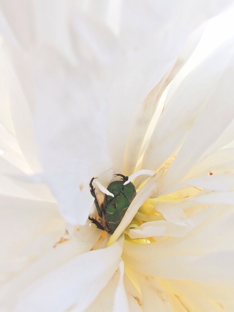 Photograph by Любовь Лунина